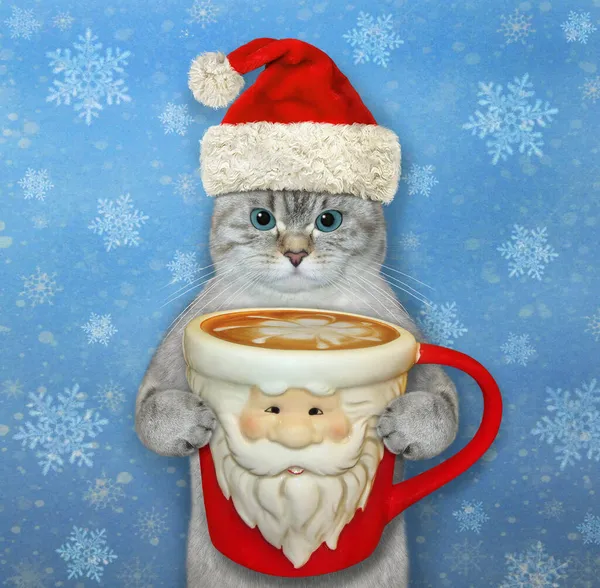 Popelavá Kočka Klobouku Santa Clause Pije Vánocům Kávu Modré Vločky — Stock fotografie