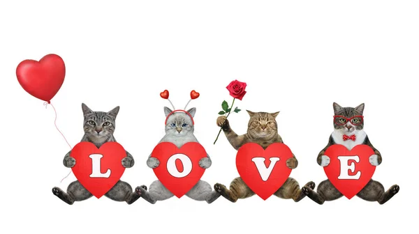 Quatro Gatos Estão Segurando Corações Vermelhos Com Letras Que Compõem — Fotografia de Stock