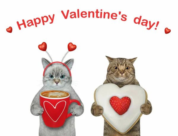 2匹の猫がバレンタインデーを祝う 白地だ — ストック写真