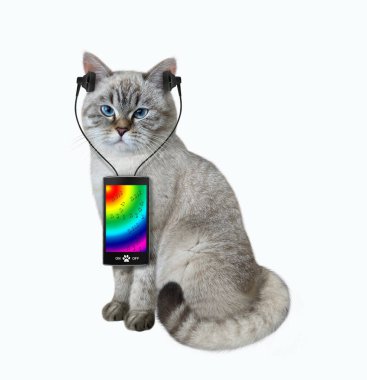 Kulaklıklı bir beyaz kedi akıllı telefondan müzik dinliyor. Beyaz arka plan. İzole edilmiş.