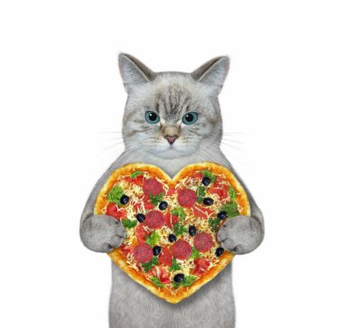 Bir kül kedisi kalp şeklinde bir pizzayı yer. Beyaz arka plan. İzole edilmiş.