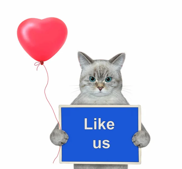 Eine Aschfeine Katze Mit Rotem Luftballon Hält Ein Blaues Schild — Stockfoto