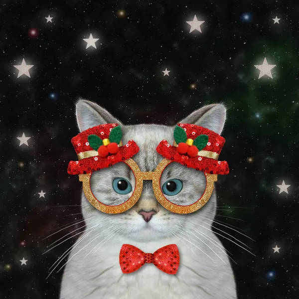 Popelavá Kočka Nosí Motýlka Vánoční Masku Pozadí Noční Hvězdy — Stock fotografie