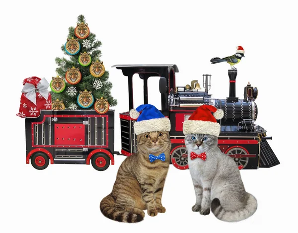 Två Katter Jultomten Kläder Nära Semester Tåg Med Julgranen Vit — Stockfoto