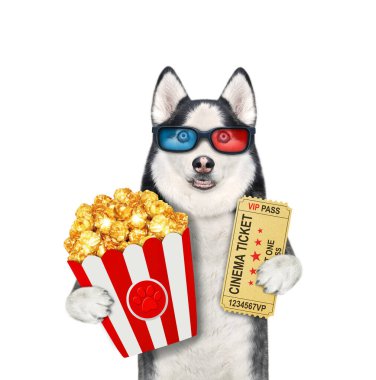 3D gözlüklü bir köpek köpeğinin elinde sinema bileti ve patlamış mısır var. Beyaz arka plan. İzole edilmiş.