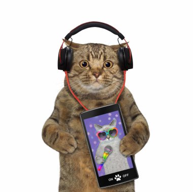 Kulaklıklı bej renkli bir kedi akıllı telefondan müzik dinliyor. Beyaz arka plan. İzole edilmiş.