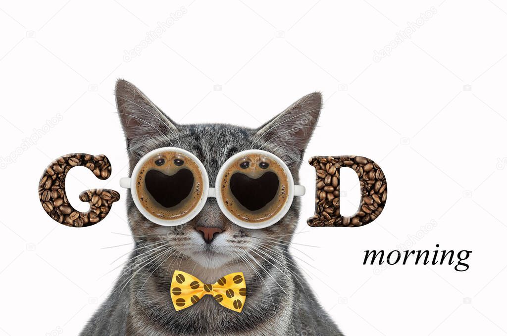 A gray cat in a bow tie wears cup coffee shaped glasses. Good morning. White background. Isolated.