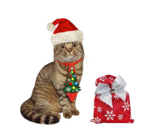 Μια Μπεζ Γάτα Γραβάτα Κάθεται Κοντά Στη Χριστουγεννιάτικη Τσάντα Δώρα — Φωτογραφία Αρχείου