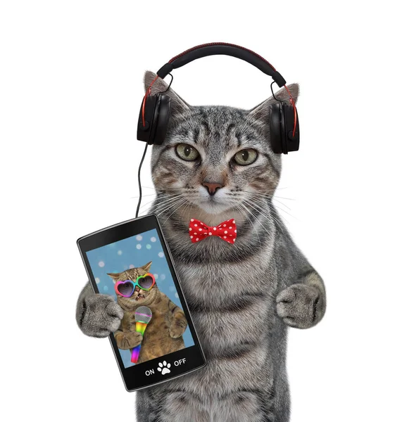 一只戴耳机的灰猫在听智能手机里的音乐 白色背景 被隔离了 — 图库照片