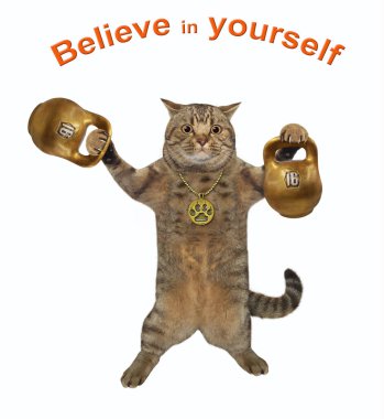 Bej renkli kedi bir atlet altın kettlebells kaldırır. Kendine inan. Beyaz arka plan. İzole edilmiş.