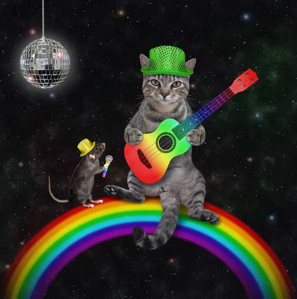 Gato Gris Sombrero Está Sentado Arco Iris Tocando Una Guitarra — Foto de Stock