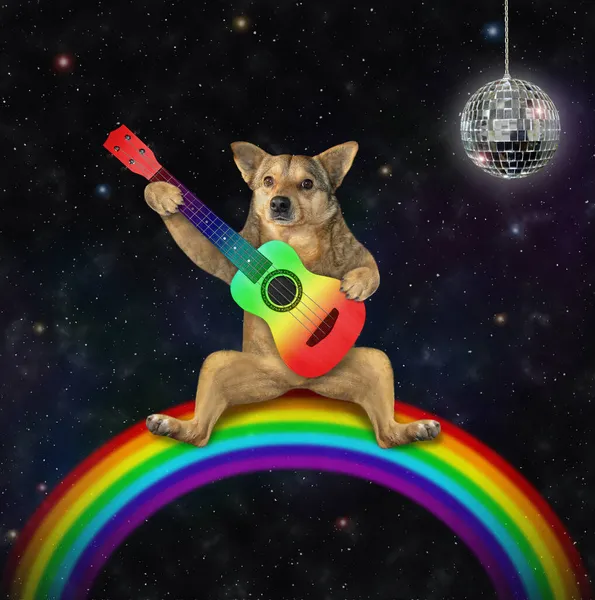 Beige Hund Sitter Regnbågen Och Spelar Akustisk Gitarr Natten — Stockfoto