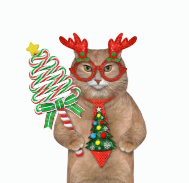 Bayram kravatlı kırmızımsı bir kedi ve Noel için lolipoplu bir maske. Beyaz arka plan. İzole edilmiş.