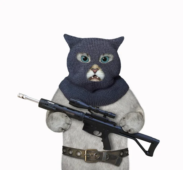 Ashen Cat Balaclava Holding Assault Rifle Optical Sight White Background — Stock Photo, Image