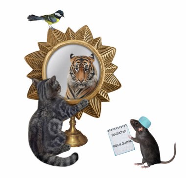 Gri bir kedi yıldız şeklinde bir aynada kaplan görür. Bir fare doktor ona megalomani teşhisi koydu. Beyaz arka plan. İzole edilmiş.