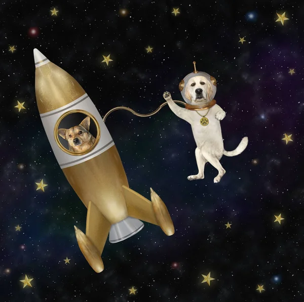 Pes Labrador Astronaut Plave Vesmíru Poblíž Zlaté Vesmírné Rakety Mezi — Stock fotografie