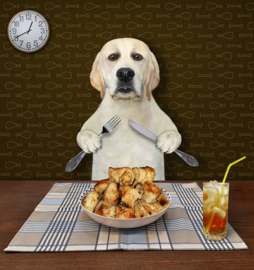 Bıçaklı ve çatallı bir köpek labrador ızgara et yer ve masada meyve suyu içer..