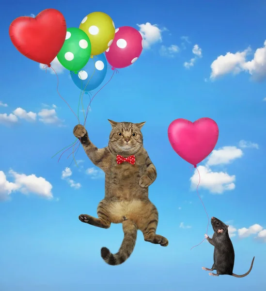 Eine Beige Katze Und Eine Schwarze Ratte Mit Luftballons Fliegen — Stockfoto