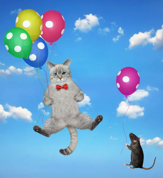 An ashen cat and a black rat with balloons are flying in the sky.