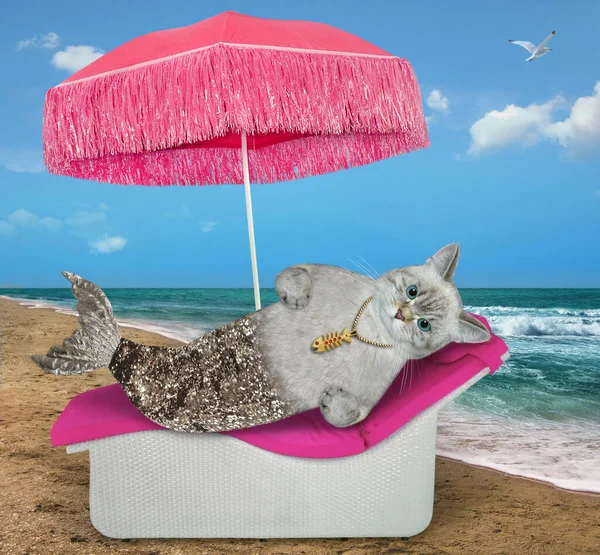 Eine Aschfeine Katzennixe Mit Silbernem Fischschwanz Liegt Auf Einer Liege — Stockfoto