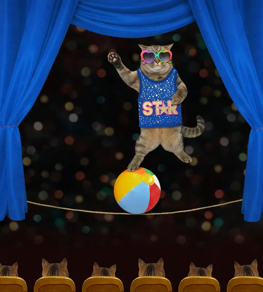 A beige cat tightrope walker in sunglasses is on a ball in a circus.
