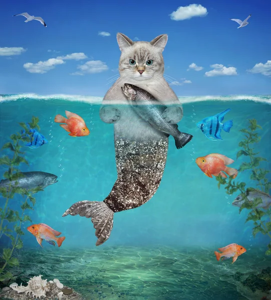 Ashen Cat Mermaid Silver Fish Tail Caught Trout Underwater Seabed — Stock Photo, Image