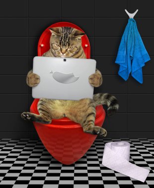 Dizüstü bilgisayarı olan bej bir kedi banyoda kırmızı bir klozetin üzerinde oturuyor..