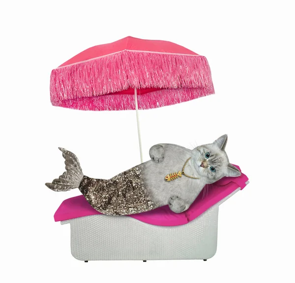 Ashen Cat Mermaid Silver Fish Tail Lies Sun Lounger Umbrella — Stock Photo, Image
