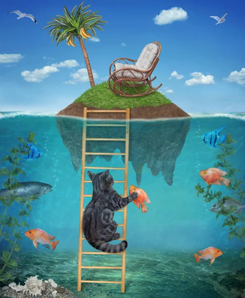 A gray cat with a caught gold fish is climbing up on a wooden ladder in underwater on the seabed.