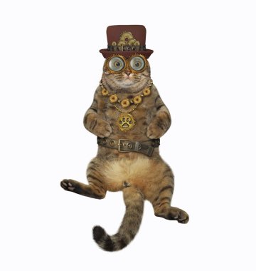 Bej bir kedi steampunk şapka, metal kemer kravatı ve gözlük takar. Beyaz arka plan. İzole edilmiş.