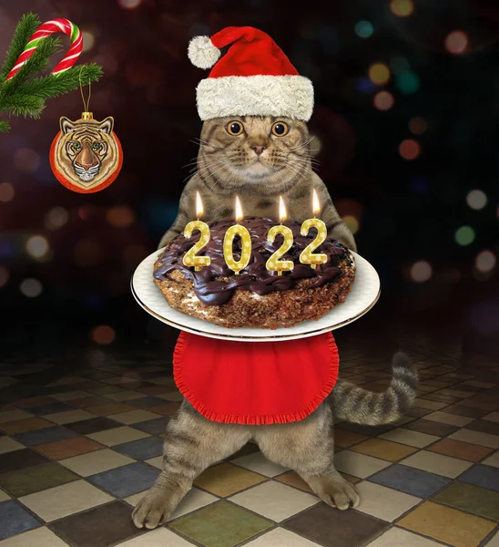 Noel Baba Şapkalı Bej Bir Kedi 2022 Noel Pastası Partide — Stok fotoğraf