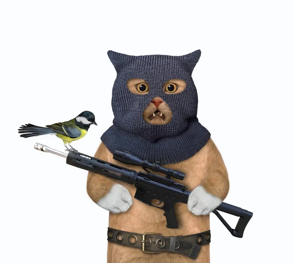 Gato Avermelhado Numa Balaclava Tem Uma Espingarda Assalto Fundo Branco — Fotografia de Stock