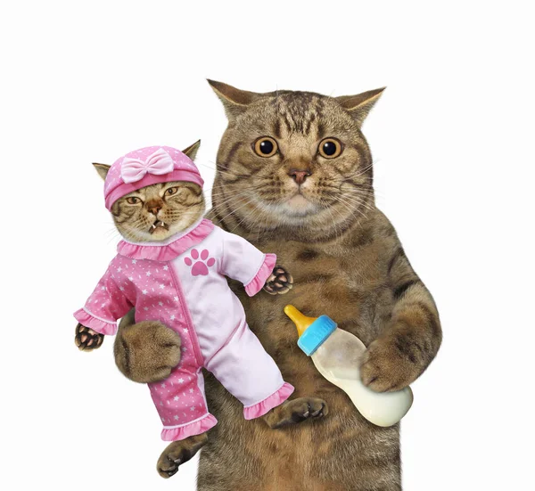 Бежевий Кіт Тримає Кошеня Одягнене Рожевий Костюм Дитини Годує Його — стокове фото