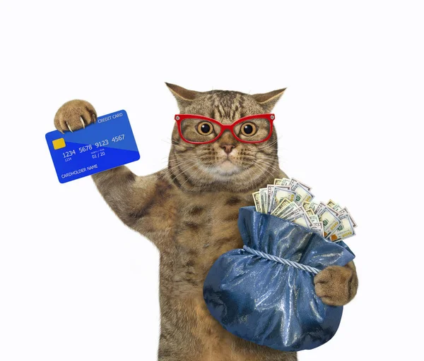 Beżowy Kot Kartą Kredytową Workiem Dolarami Przywiązanym Liną Białe Tło — Zdjęcie stockowe