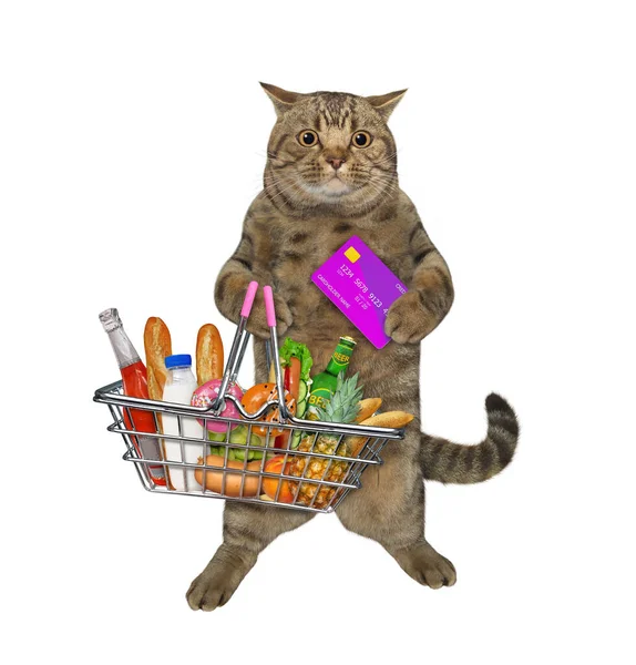 Beige Cat Credit Card Metal Shopping Basket Full Food White — 图库照片