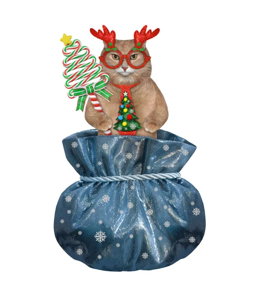 Gato Rojizo Sombrero Santa Claus Con Caramelo Está Dentro Saco —  Fotos de Stock
