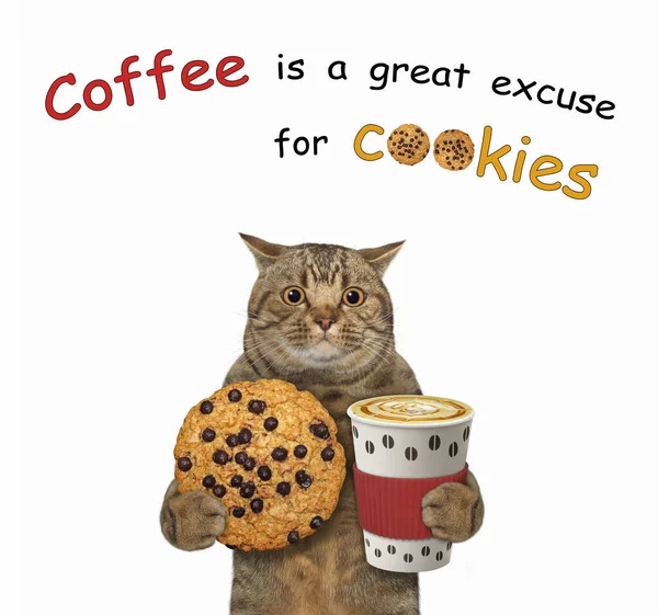 Een Beige Kat Houdt Een Koekje Een Papieren Kopje Koffie — Stockfoto