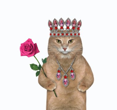 Diademdeki kızıl bir kedi ve pembe bir gül taşıyan bir kolye. Beyaz arka plan. İzole edilmiş.