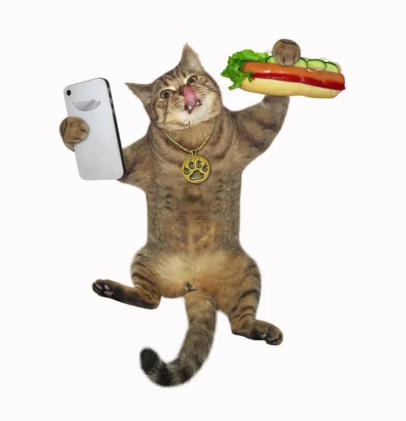 Een Beige Kat Neemt Een Selfie Met Een Hotdog Witte — Stockfoto