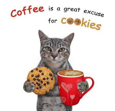 Gri bir kedi bir kurabiye ve bir fincan kağıt kahve tutar. Beyaz arka plan. İzole edilmiş.