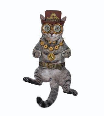 Gri bir kedi steampunk şapka, metal kemer kravatı ve gözlük takar. Beyaz arka plan. İzole edilmiş.