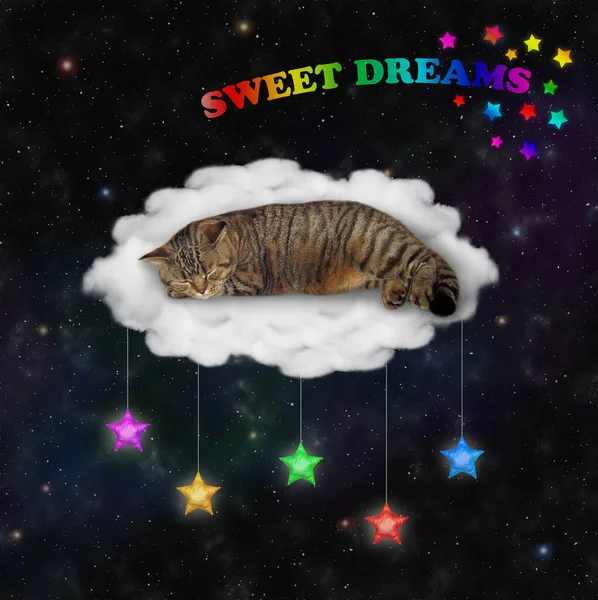 Béžová Kočka Spí Mrakovém Lůžku Pod Hvězdnou Noční Oblohou Sladký — Stock fotografie