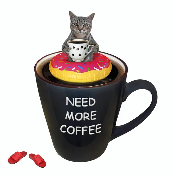 Szary Kot Kawą Unosi Się Nadmuchiwanym Pierścieniu Wewnątrz Dużej Filiżanki — Zdjęcie stockowe