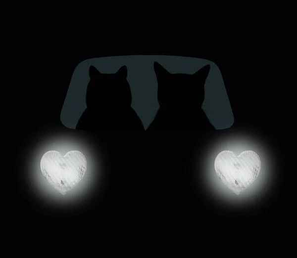 Kedi Geceleyin Otoyolda Bir Araba Kullanıyor Kalp Şeklinde Farlar Siyah — Stok fotoğraf