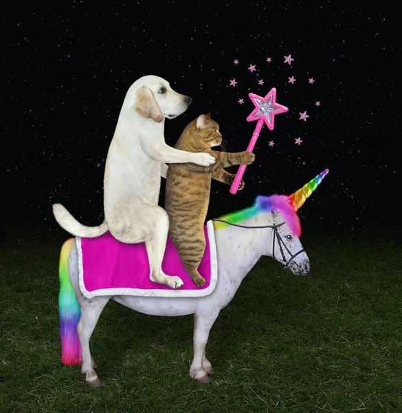 犬のラブラドールと魔法の杖を持つベージュの猫は牧草地でユニコーンに乗る — ストック写真
