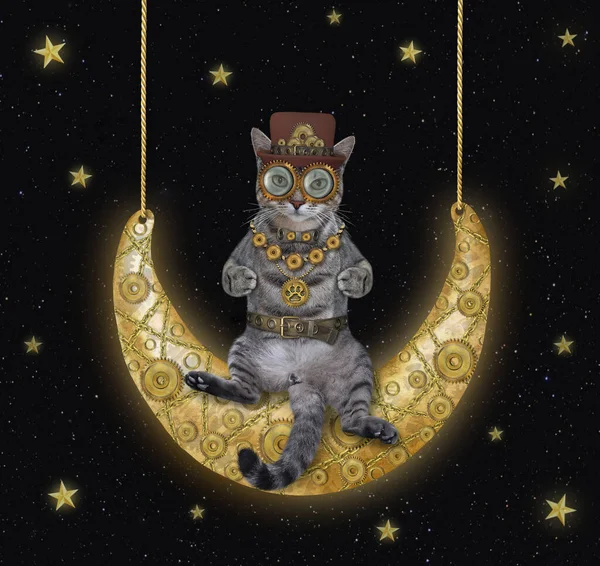 Gray Cat Swinging Steampunk Moon Star Night Sky — Foto Stock