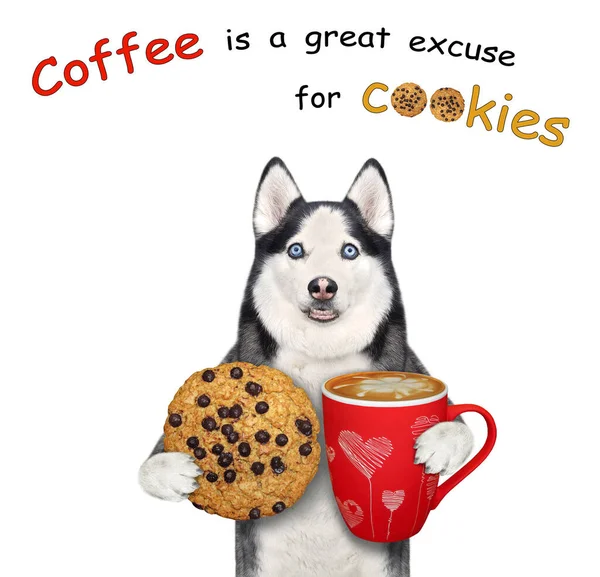 Een Hond Husky Houdt Een Koekje Een Papieren Kopje Koffie — Stockfoto