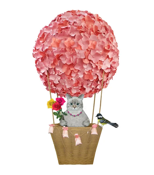 Ashen Cat Bouquet Rose Flying Hot Air Flower Balloon White — Stock Photo, Image