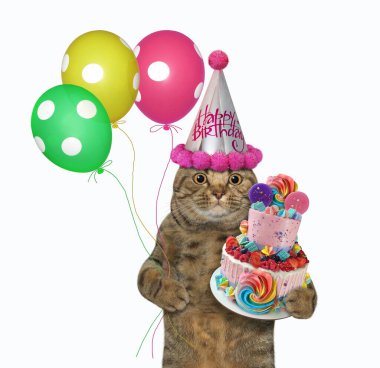 Bayram pastası ve renkli balonlarla parti şapkalı bej bir kedi doğum gününü kutluyor. Beyaz arka plan. İzole edilmiş.