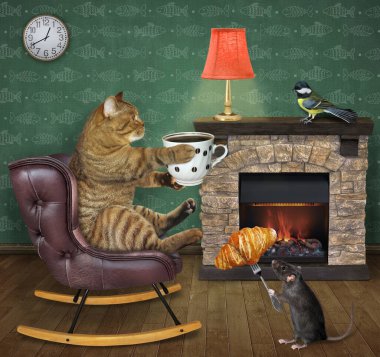 Sallanan sandalyede bej renkli bir kedi evde şöminenin yanında kruvasanla kahve içiyor..